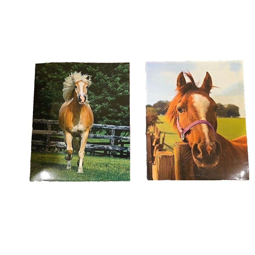 Caroline Pad Horse Notebooks‎ Folders, 2 Pack, School Supplies